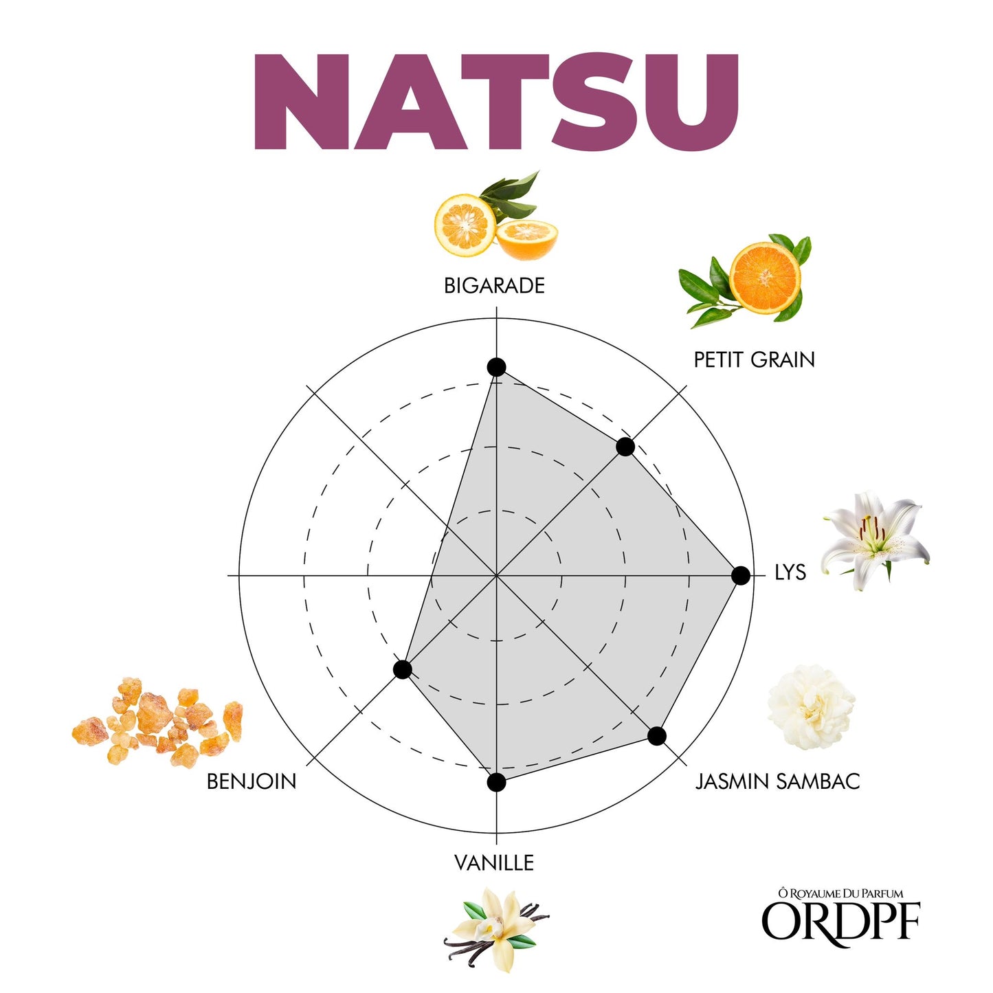 NATSU (ÉDITION LIMITÉE)